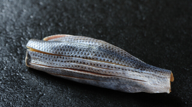 Premium Omakase – 10-Piece Sushi Kaiseki with Maguro (Premium Tuna) Tasting